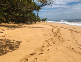 Las mejores playas en Bocas del Toro