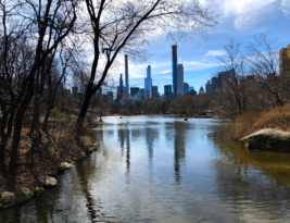 Central Park, el pulmón de Nueva York