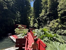 Las Termas Geométricas