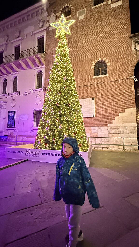 Árbol de Navidad gigante iluminado en Piazza dei Signori Verona