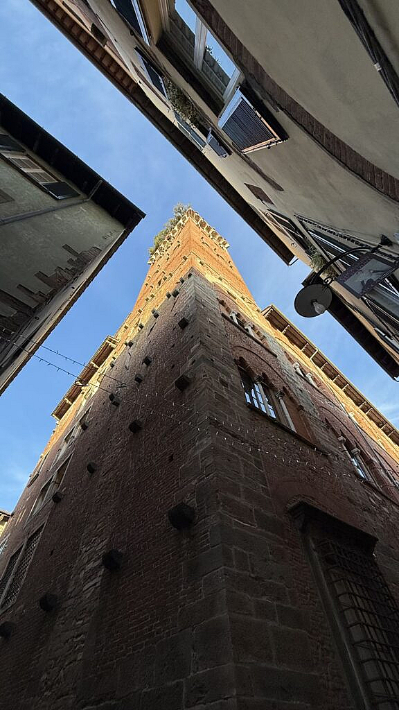 Torre Guinigi de Lucca con árboles en la cima
