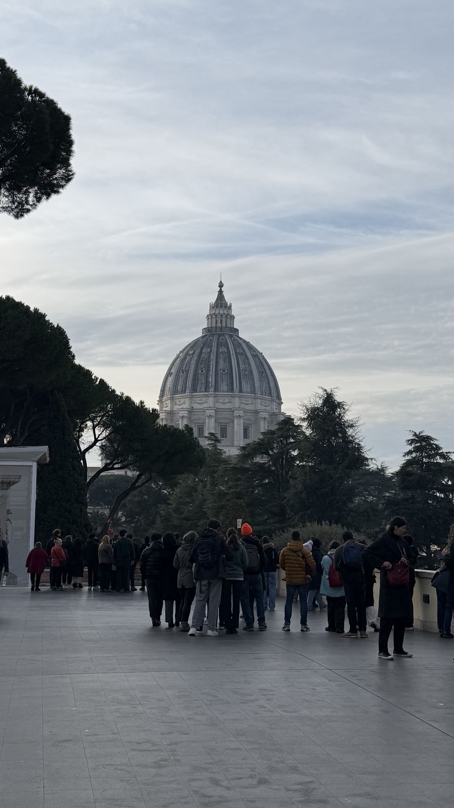 Vista de la cúpula de San Pedro desde el Vaticano